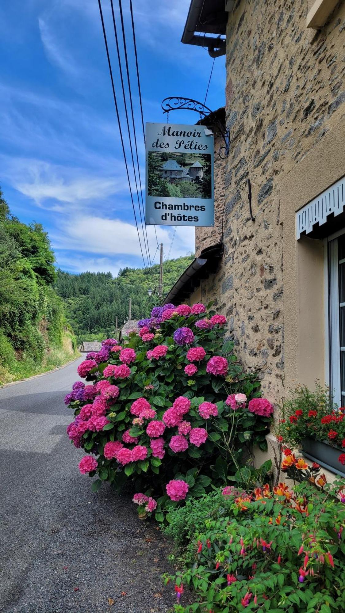Bed and Breakfast Manoir des Pélies Conques Exterior foto