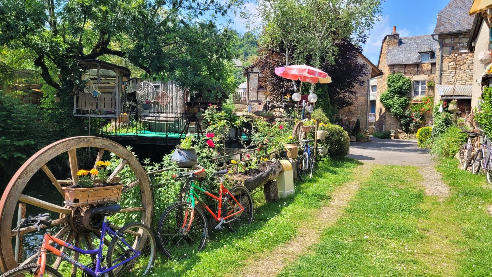 Bed and Breakfast Manoir des Pélies Conques Exterior foto